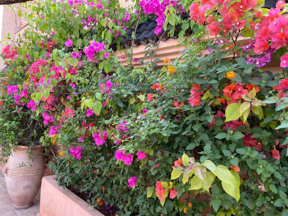 Riad Zouhour Марракеш Экстерьер фото