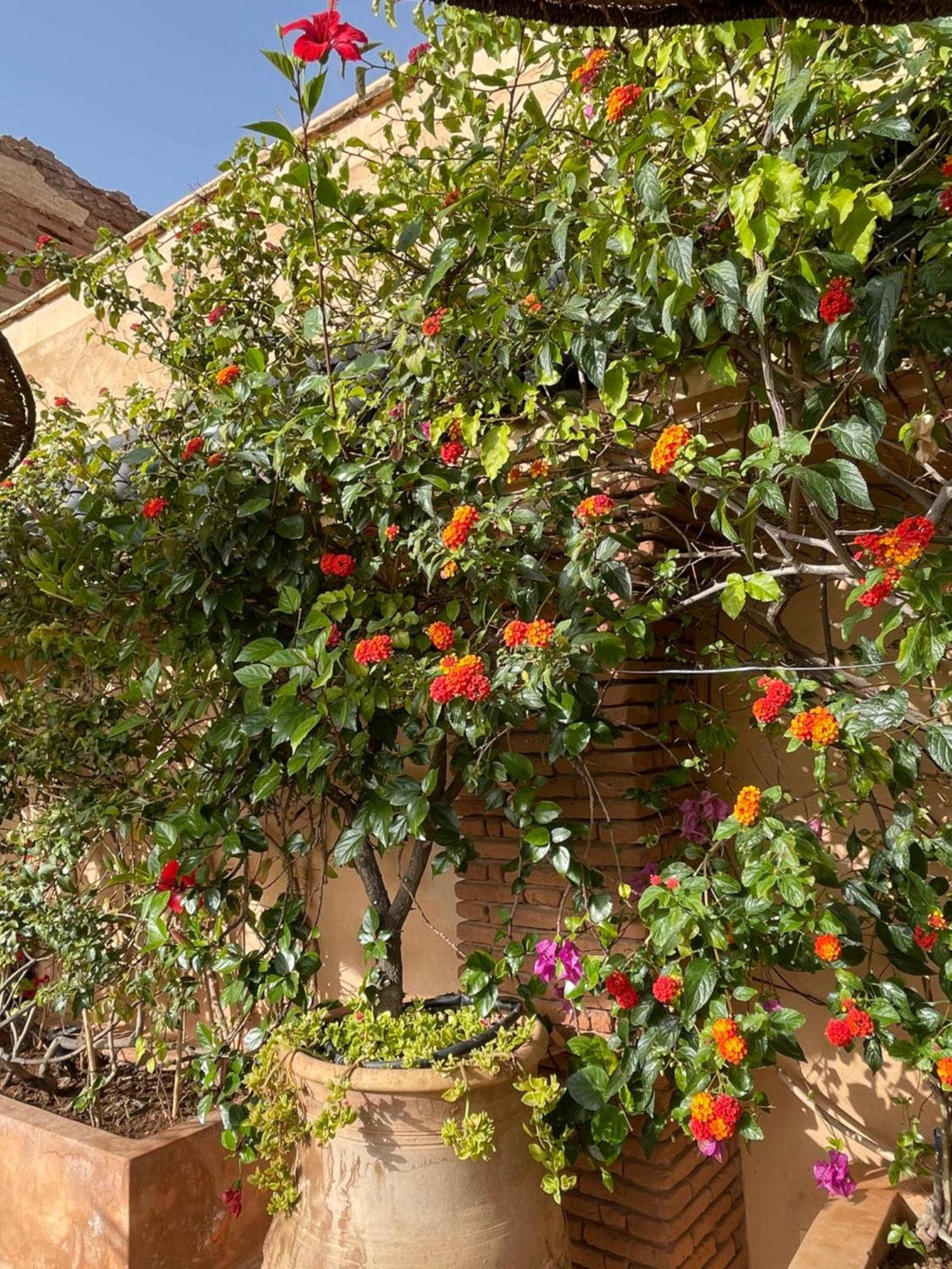Riad Zouhour Марракеш Экстерьер фото